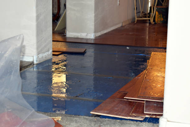 Professional Basement Flood Cleanup technician working in Roopville, GA